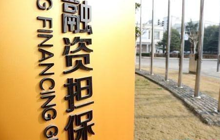 融資擔保公司轉讓